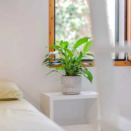 Apartament Apartamento Maite